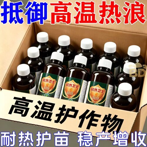 抗热卫士夏季作物抗高温防日灼抗干旱抵御干热风防暑保花新型肥料