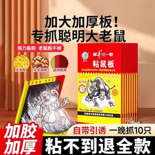 超强力粘鼠板捉粘大老鼠贴沾胶抓灭鼠捕鼠神器超强正品家用捕鼠器