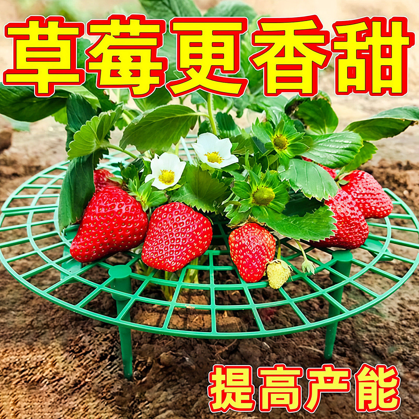 家庭草莓种植支架托架防腐烂防倒伏简约支撑架园艺花卉托盘架神器