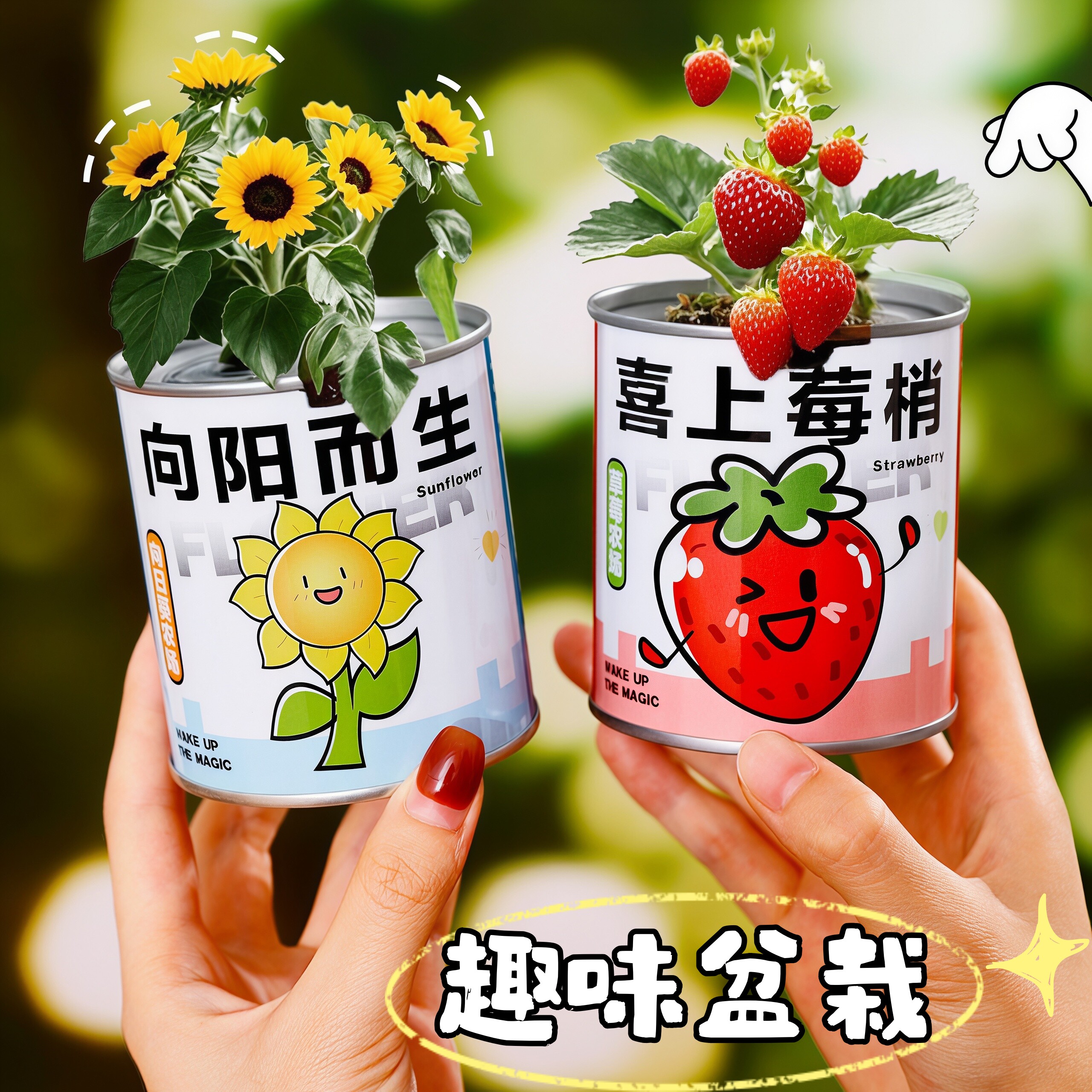情绪稳定小盆栽种植罐头办公室内桌面懒人绿植含羞草驱蚊植物盲盒