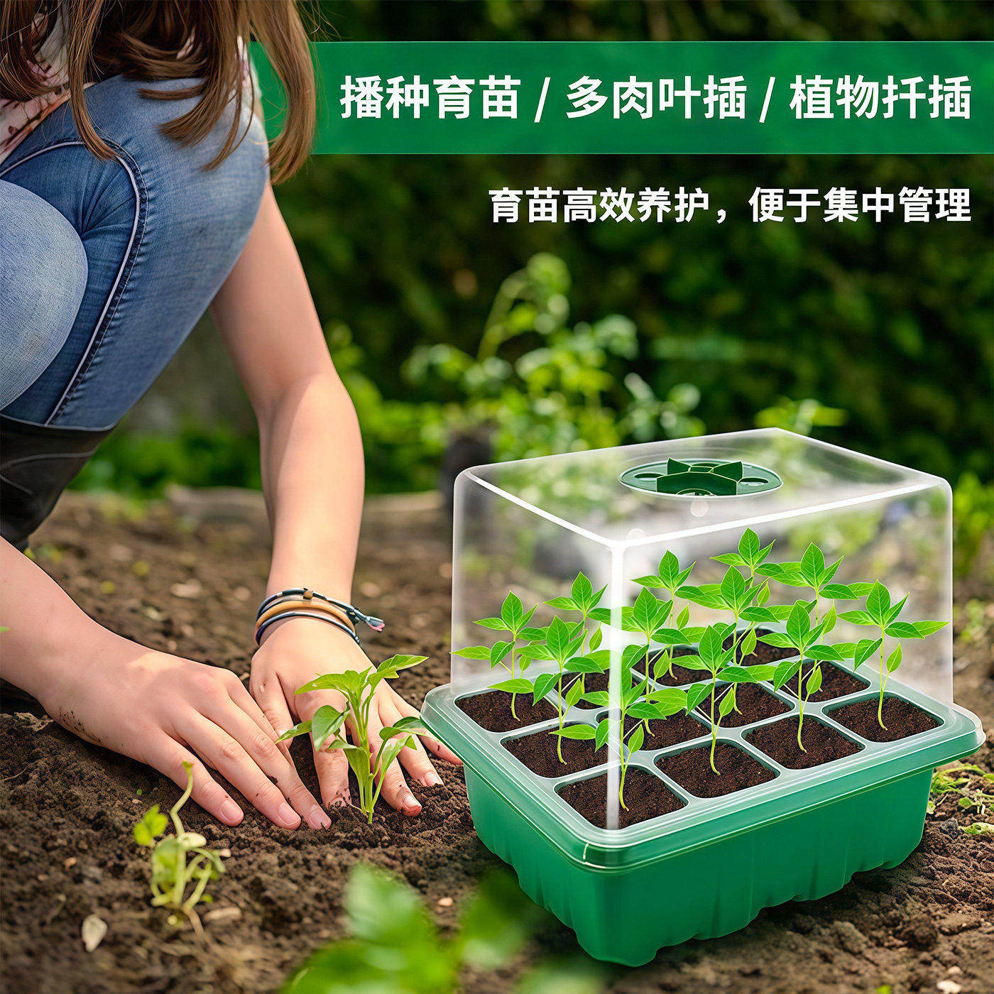 12孔育苗盒加高可调节透气保温实用园艺播种材质保湿神器园林工具
