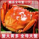 10只大闸蟹巨型螃蟹现货鲜活特大蟹可全母蟹公蟹海鲜水产新鲜河蟹