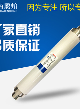 恩熔电气（SDLAJ) XRNT-12-50/125A 高压熔断器