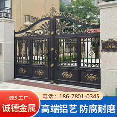 铝艺别墅庭院大门铝合金围墙花园门农村自建房院子电动双开平移门