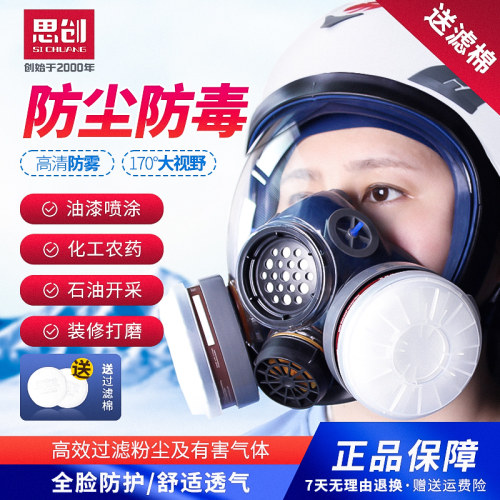 防毒全面罩全脸防护思创