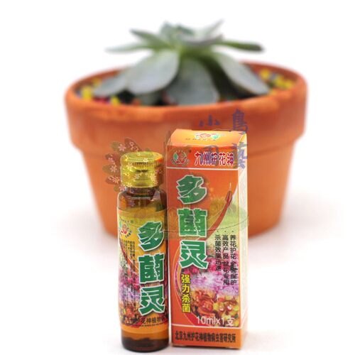 九州护花神包邮花卉花多肉安全