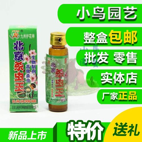 花卉多肉红蜘蛛小黑飞特价包邮