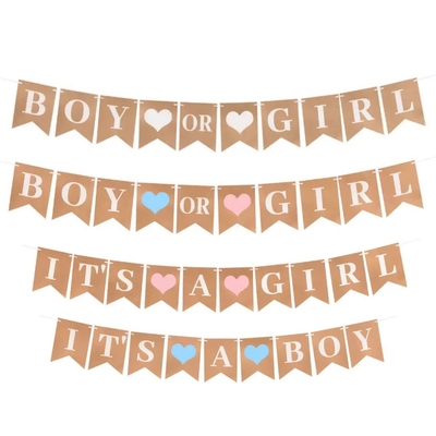 宝宝性别揭示迎婴派对拉旗牛皮纸