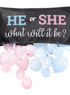 HE OR SHE 宝宝性别派对迎婴派对气球袋 GENDER REVEAL