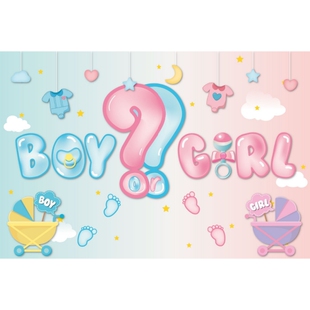 BOY OR GIRL 宝宝性别揭示迎婴派对背景布 BABY SHOWER