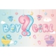 GIRL 宝宝性别揭示迎婴派对背景布 BOY BABY SHOWER