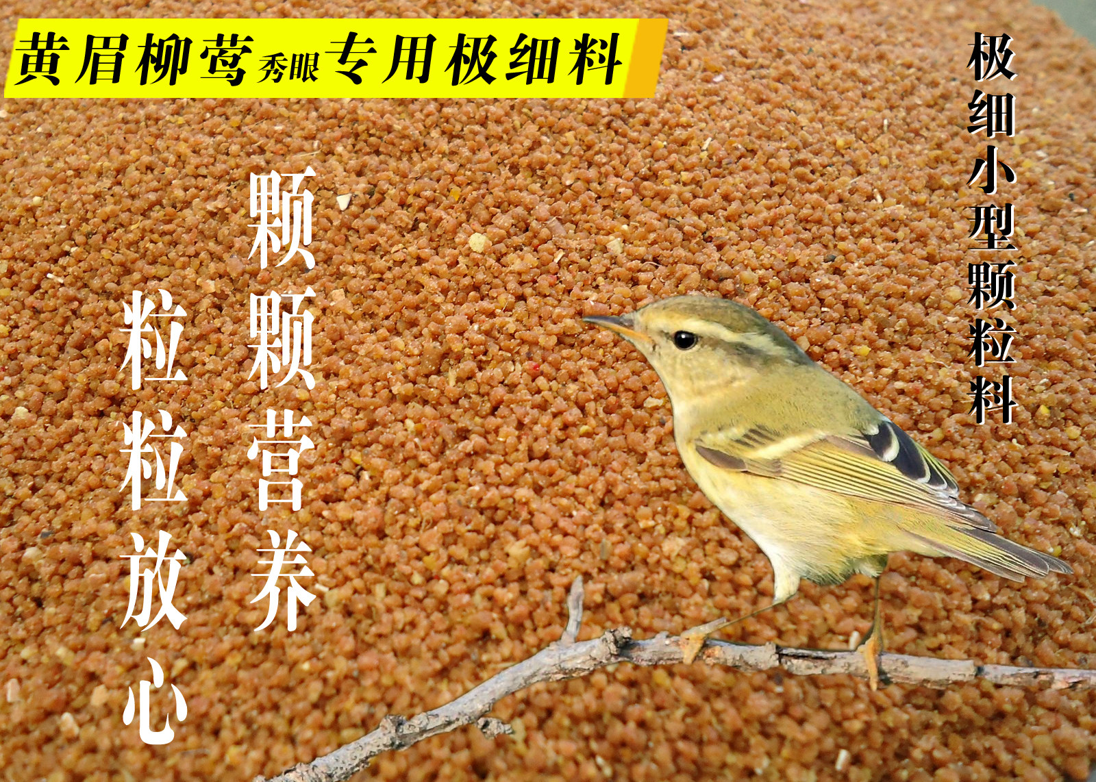 北京小田鸟食嗜虫鸟食 四喜 小黑白鸟食 黄腰柳莺鸟粮秀眼鸟食