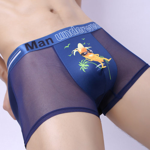 速干性感透明大码内裤