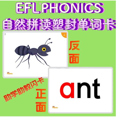 EFL Phonics自然拼读英语单词卡片幼少儿童教具启蒙教学塑封闪卡