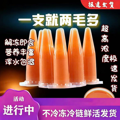 小型鱼超高浓度新鲜活精品丰年虾