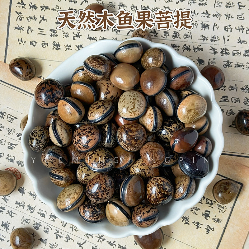 天然精选木鱼果菩提文玩手把件