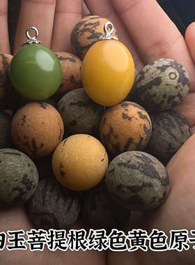 白玉菩提根绿色黄色原籽子散珠diy手串戒指菩提果大按斤颗缅甸