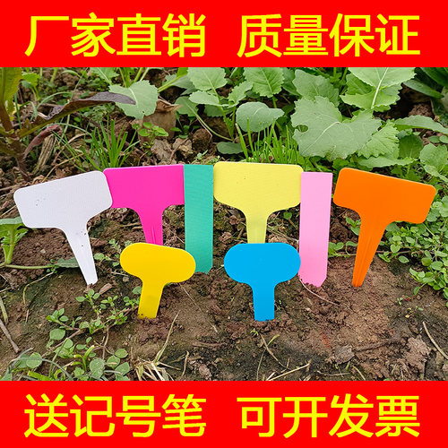 园艺标签插牌植物花卉T型牌加厚