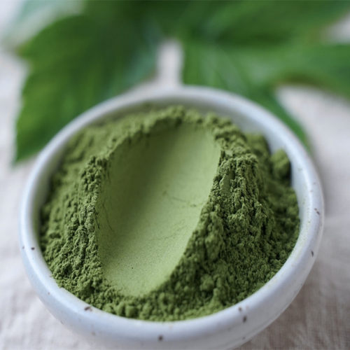 日本叶茎微细粉末茶磨酵素