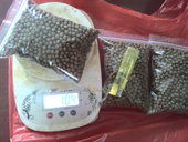 专业南石龟粮 黄喉拟水龟粮金钱龟粮 越南石金钱龟开口粮南石龟粮