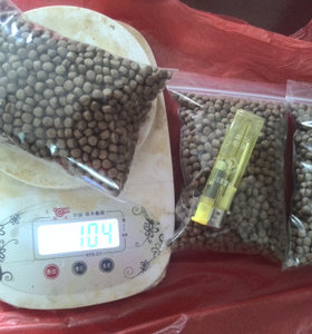 专业南石龟粮 越南石金钱龟开口粮南石龟粮 黄喉拟水龟粮金钱龟粮