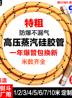 耐高温高压蒸汽管熨斗高压管配件大烫蒸汽管烫斗蒸汽软管进气管子