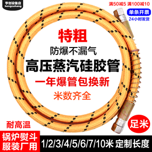 耐高温高压蒸汽管熨斗高压管配件大烫蒸汽管烫斗蒸汽软管进气管子