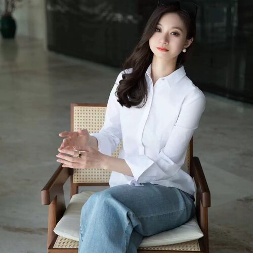 阿玛施 超值四季款高端时尚休闲修身轻职场女神衬衫5300423