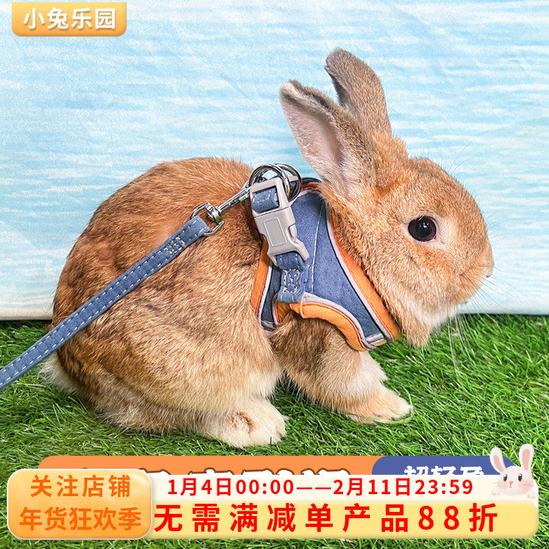 兔子牵引绳溜防挣脱兔绳可调节遛小兔子专用神器背心式兔子用品,宠物/宠物食品及用品,兔绳,淘宝优惠券,粉丝福利购,淘宝优惠卷