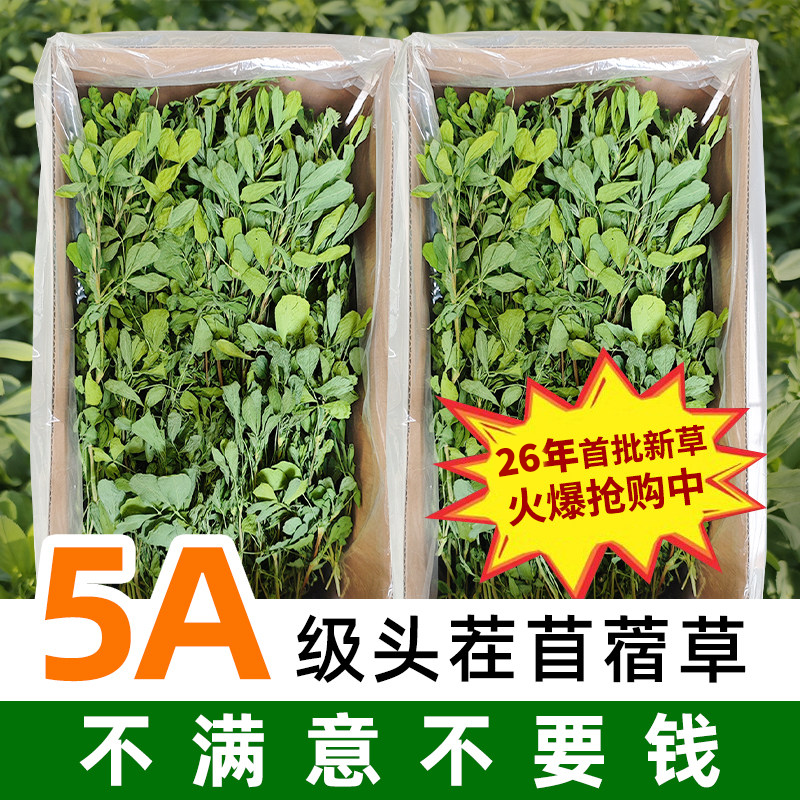 26年新苜蓿草兔子粮草苜蓿草食用草兔粮龙猫粮草干草荷兰猪苜宿草