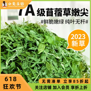 7A级苜蓿草干草纯叶全草叶含少量嫩枝烘干兔子龙猫荷兰猪粮食300g