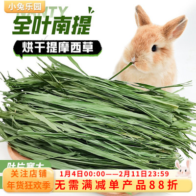 南提摩西草宽大叶片柔软细嫩