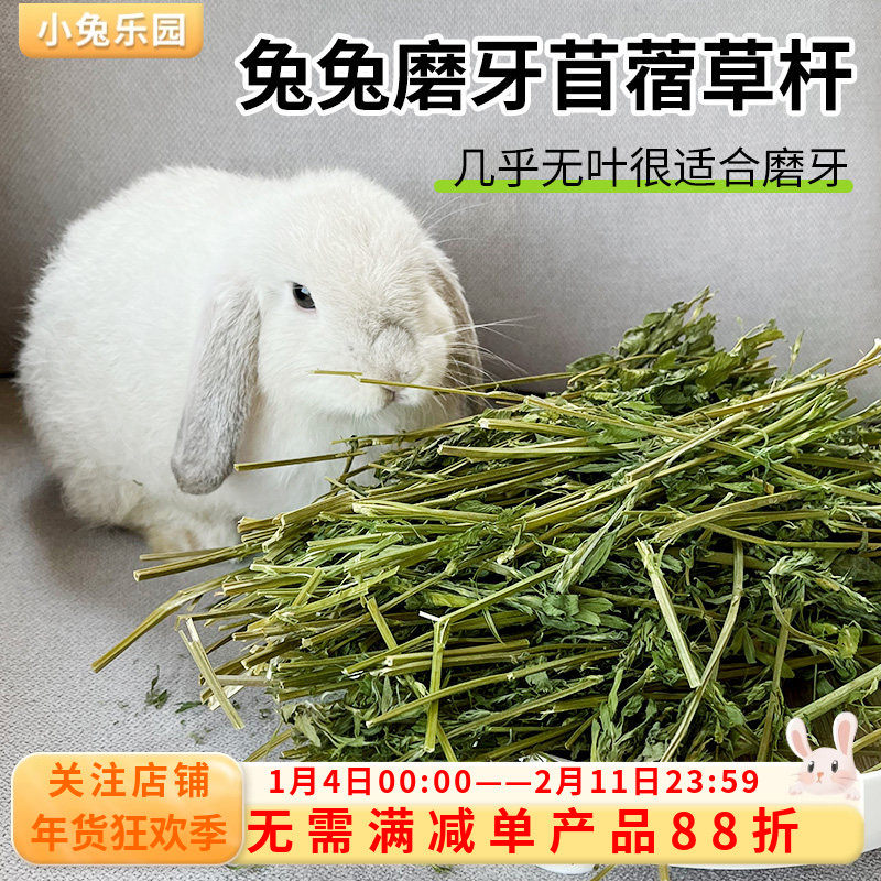 3A级苜蓿草草杆兔子磨牙用品龙猫荷兰猪豚鼠磨牙磨牙棒300g袋装,宠物/宠物食品及用品,兔兔磨牙,淘宝优惠券,粉丝福利购,淘宝优惠卷