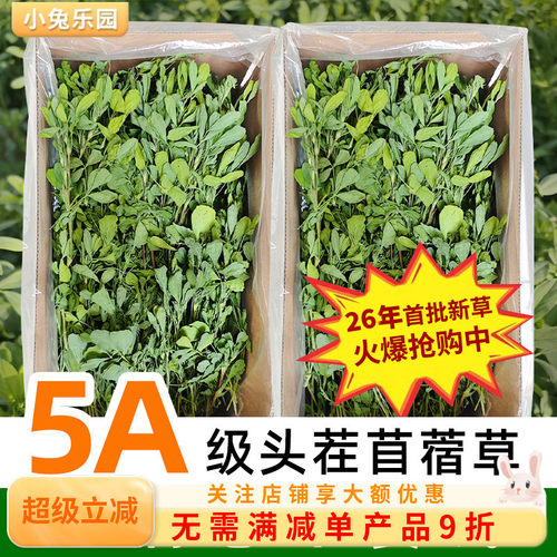 26年新草！！高品质头茬苜蓿草