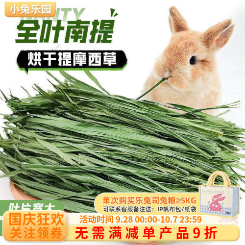 南提摩西草宽大叶片柔软细嫩
