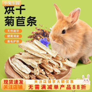 兔子零食菊苣条专用磨牙神器补充营养护肠助消化龙猫豚鼠磨牙零食