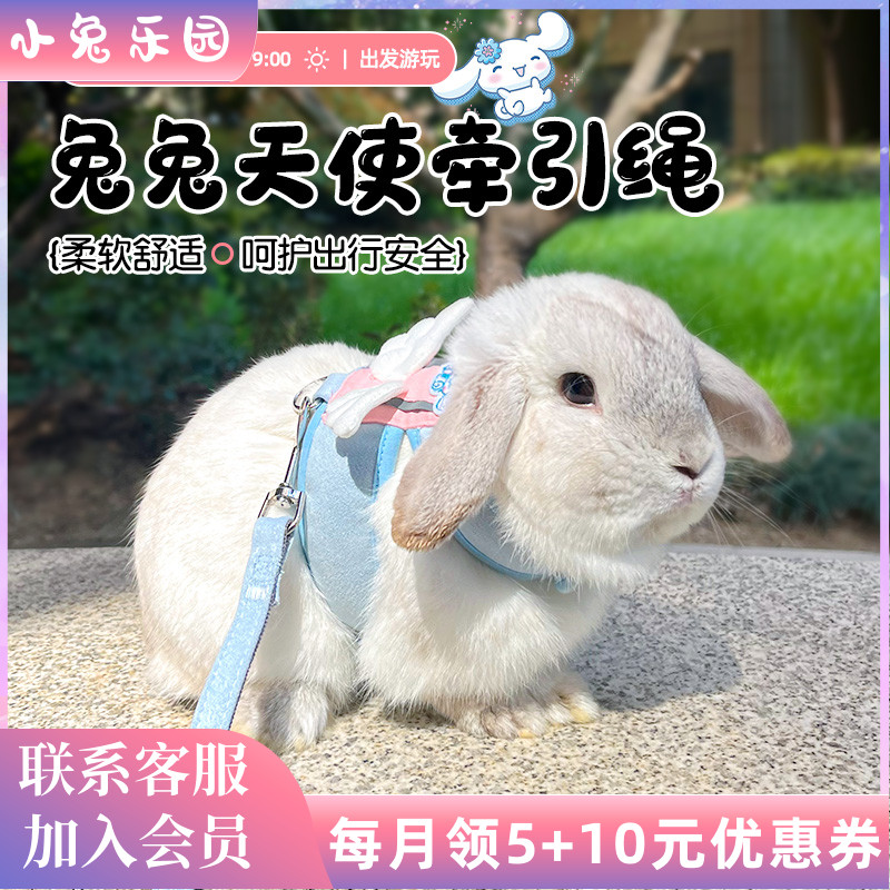 兔子牵引绳防挣脱兔兔外出绳一体式牵引绳可调节舒适透气兔子用品