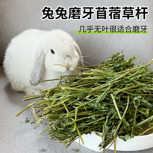 3A级苜蓿草草杆兔子磨牙用品龙猫荷兰猪豚鼠磨牙磨牙棒300g袋装