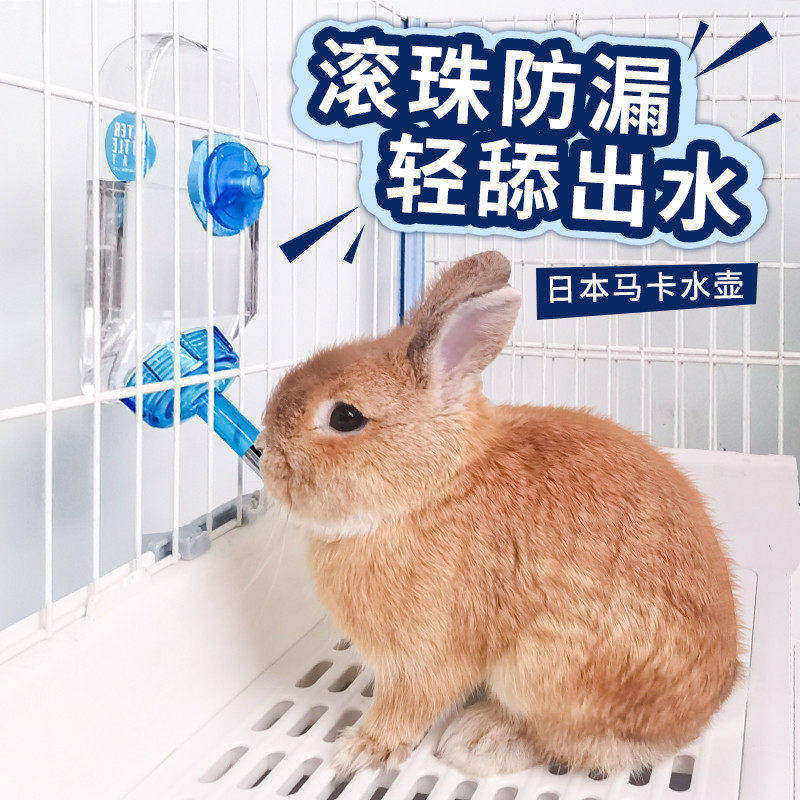 马卡水壶兔子饮水器喂水器喝水器挂式自动饮水器大容量豚鼠水壶