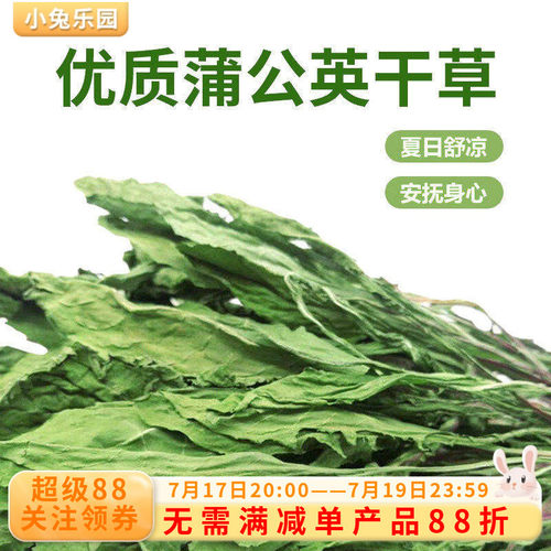 蒲公英干草兔子食用草粮草清热降火祛暑荷兰猪龙猫保健草