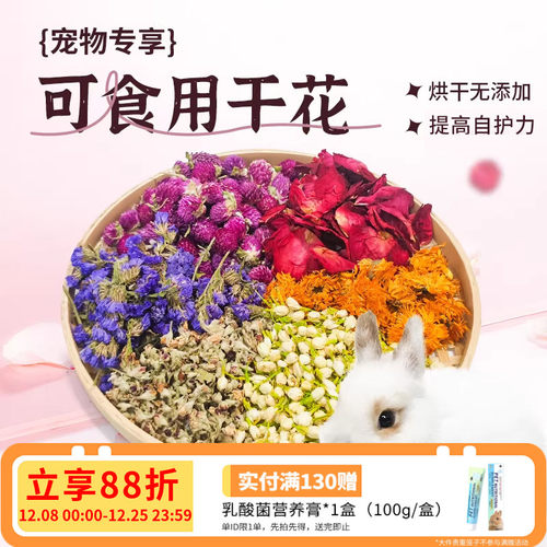兔兔保健花草合集菊花勿忘我