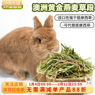 3A澳洲黄金燕麦草进口澳麦草段兔子龙猫豚鼠兔饲料干草牧草500g