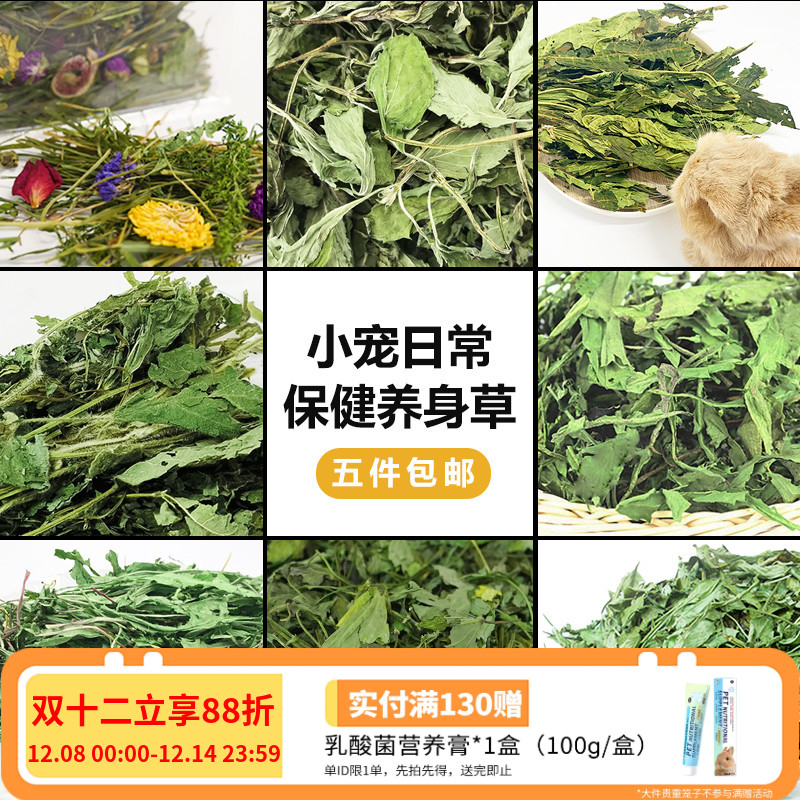 小宠保健草薄荷叶菊苣草蒲公英草