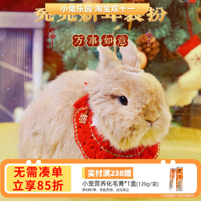 兔子新年项圈围脖项链配饰喜庆