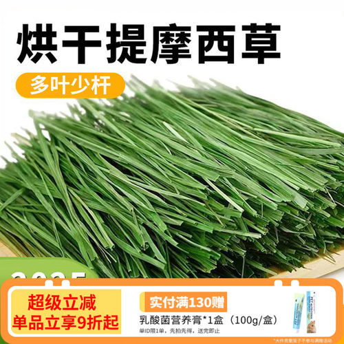 5A提摩西草草段叶多杆绿万人推荐