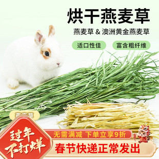 燕麦草兔子澳麦草澳洲黄金燕麦草烘干兔子草荷兰猪龙猫干草兔饲料