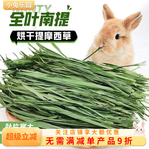 南提摩西草宽大叶片柔软细嫩