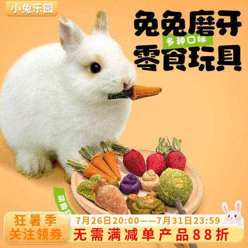 兔子磨牙玩具解闷荷兰猪零食草球