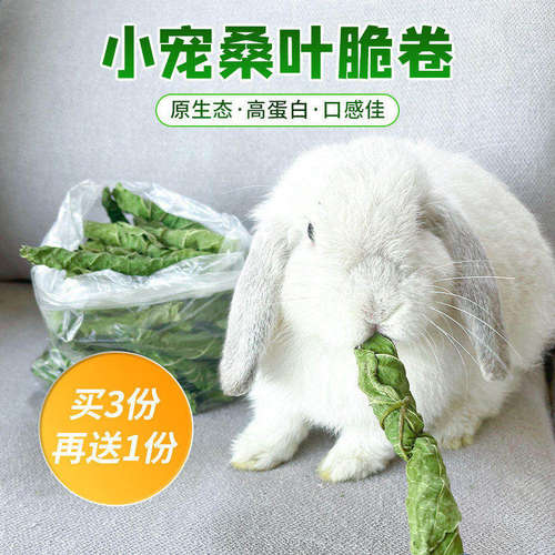 新采摘烘干手摘桑叶脆卷兔子豚鼠龙猫零食补充营养蛋白防上火50g - 封面