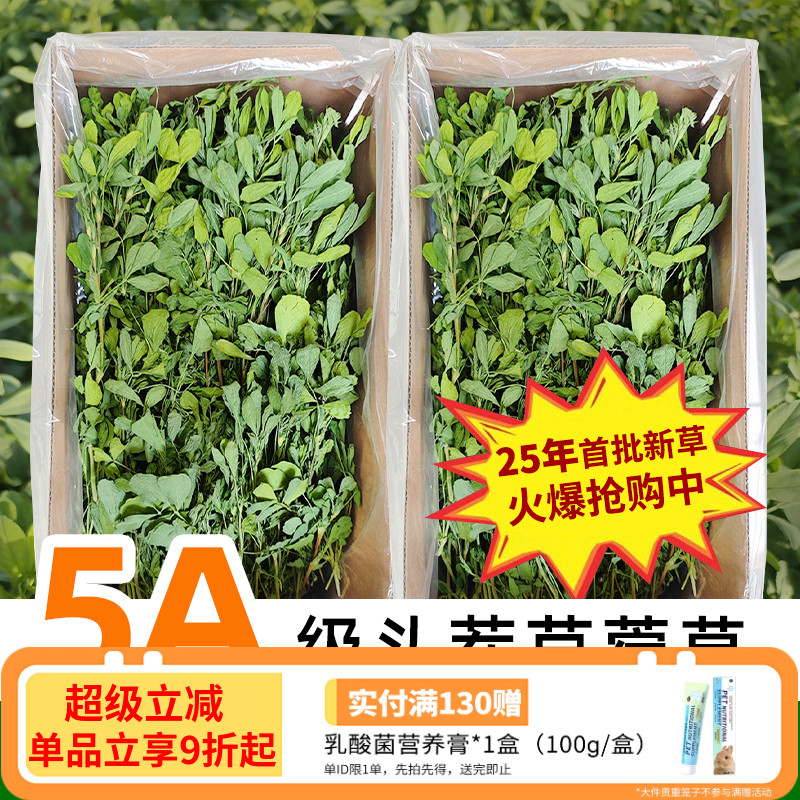 25年新草！！高品质头茬苜蓿草